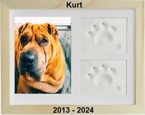 kurt