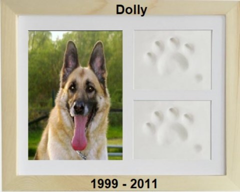 Dolly 30.05