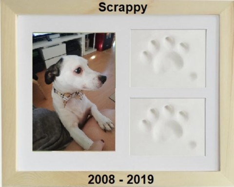 30.09.206